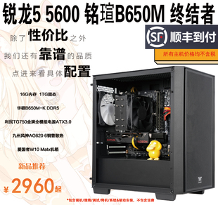 6500XT海外版 台式 机DIY 电脑机组装 AMD 锐龙R5 潮电竞定制 5600