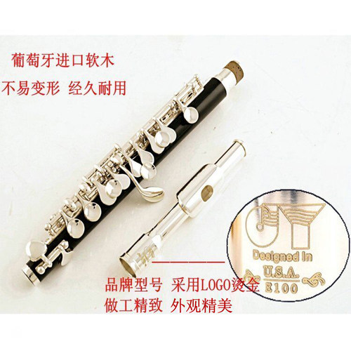 授权金音短笛JYPC-E100S