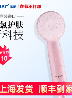 toray日本进口RS53东丽除氯增压净水滤芯花洒过滤器淋浴净水喷头