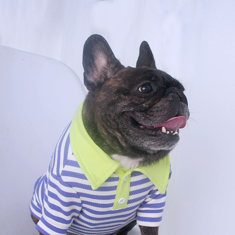 Tiger dog宠物小狗法斗巴哥柴犬柯基秋冬条纹棉校服风衣服服装T恤