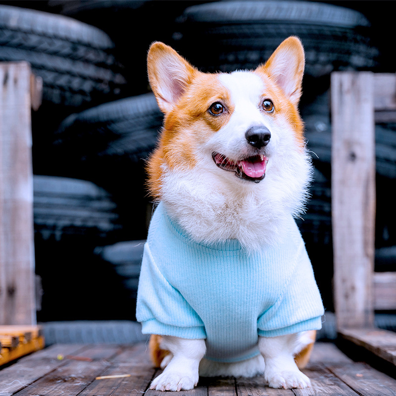 Tiger dog秋冬衣服宠物柯基边牧柴犬中型犬小狗坑条T恤卫衣衣服装