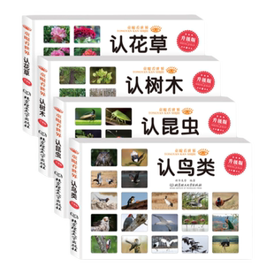 认识昆虫花草树木鸟类书籍 3-6岁亲子共读增涨知识 幼儿园图画故事书宝宝启蒙认知书学习科普书籍绘本阅读百科儿童认识动物书卡片