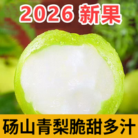 梨子新鲜现摘砀山青皮梨现货酥脆一号翠冠梨包邮正宗砀山梨皇冠梨