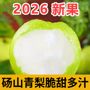 梨子新鲜现摘砀山青皮梨现货酥脆一号翠冠梨包邮正宗砀山梨皇冠梨