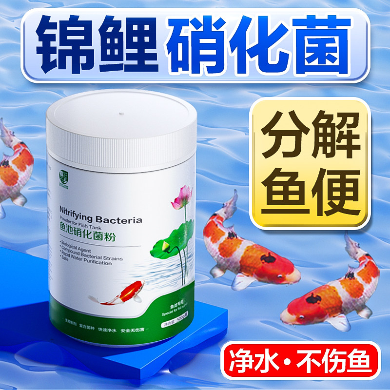 硝化细菌粉鱼缸用水质净化稳定剂养鱼活性消化细菌锦鲤鱼池净水剂