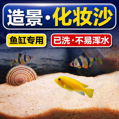卢尼化妆沙鱼缸草缸细白天然河沙
