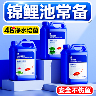 硝化细菌锦鲤鱼池用净化水质稳定剂养龟鱼缸除氯净水剂消化活菌液