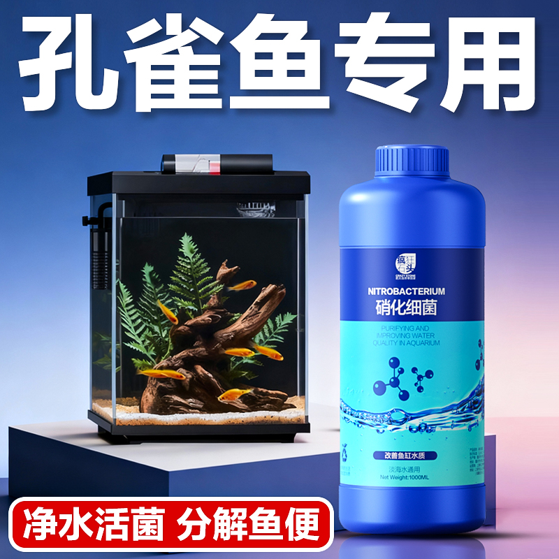 疯狂石头正品硝化活菌！培菌养水