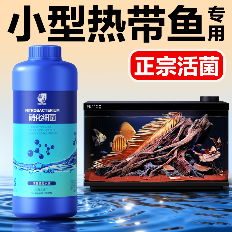 正宗硝化活菌小热带鱼用净水培菌