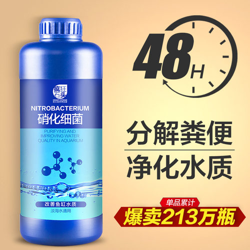 高活性硝化细菌净化水质分解鱼便