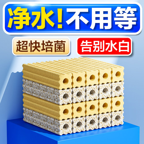 24小时快速净水培菌打造空气缸