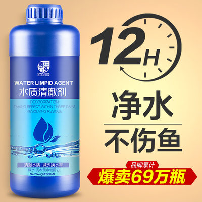 仅需12小时净化鱼缸水质