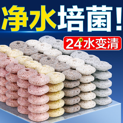 24H速净水，培菌多鱼缸不浑浊