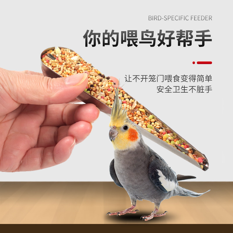鹦鹉下料器具喂食用品粮食铲子