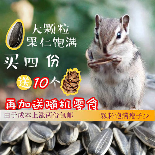 松鼠瓜子坚果花栗鼠500g主粮粮食