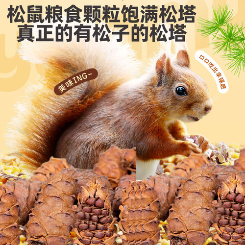 松鼠松果零食松鼠粮食主粮磨松塔