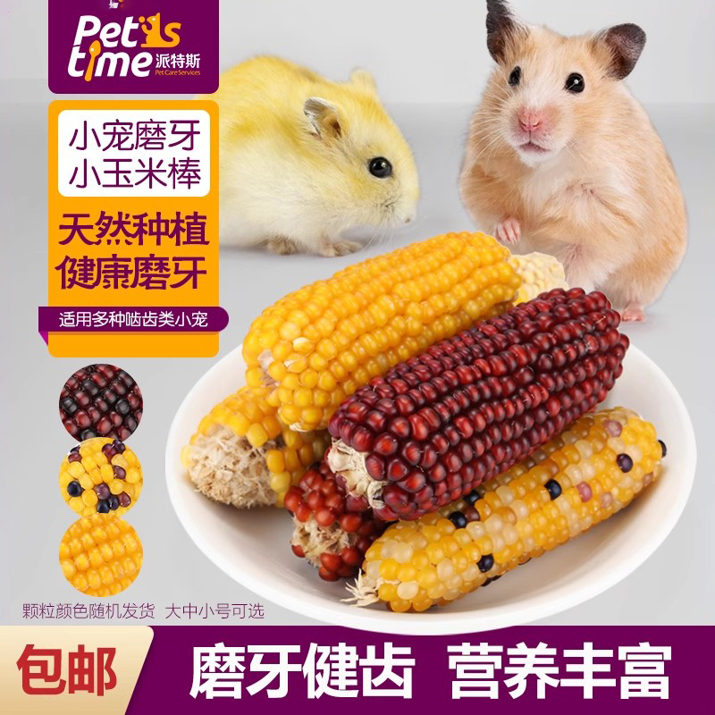 磨牙棒小玉米宠物用品仓鼠粮食