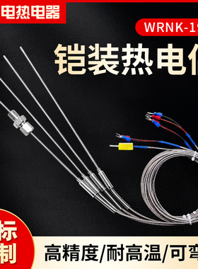 铠装热电偶/阻K型E型PT10型J型T型温度传感器 WRNK-191探针可弯曲
