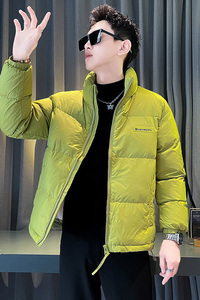 Y731-P138 非标羽绒服 这里上棉衣类目 控178-2图片