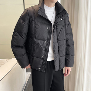 Y737-P168 非标羽绒服 这里上的棉衣类目 控228图片