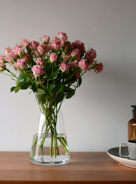 收集时光 Camus say学院派玻璃大花瓶 手工玻璃花瓶 包邮