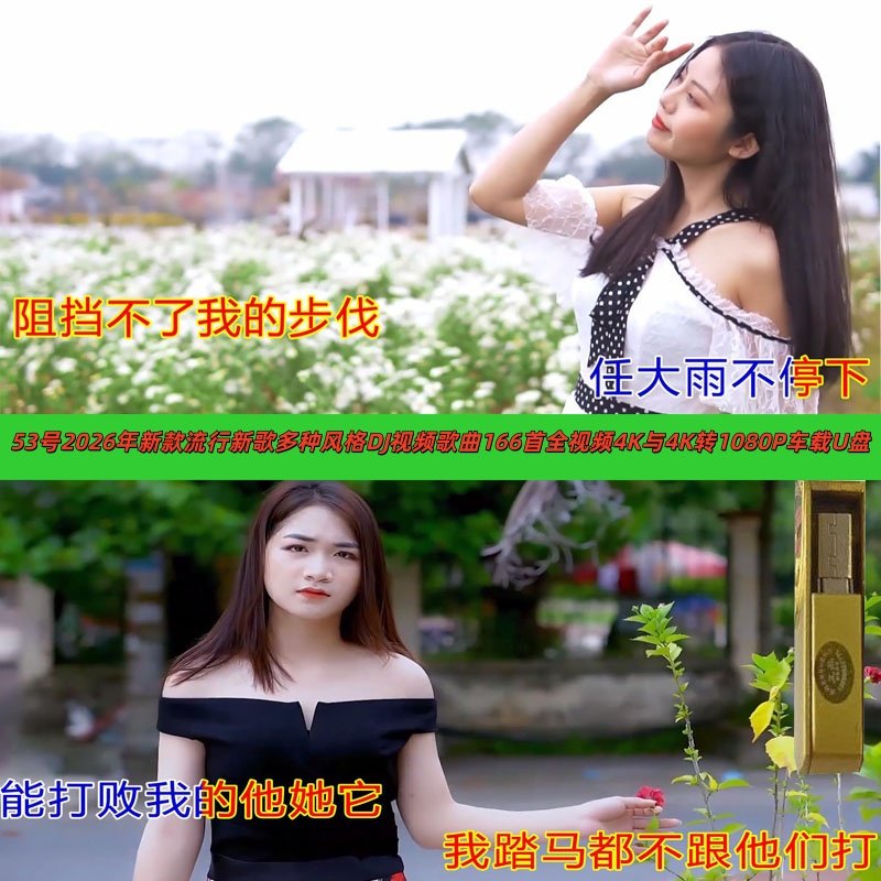 2026年新款流行歌曲53号32G多风格类型视频4K与1080P车载音乐U盘,汽车用品/电子/清洗/改装,车载音乐U盘,淘宝优惠券,粉丝福利购,淘宝优惠卷