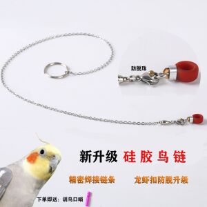 玄凤虎皮牡丹脚环鸟架站架手养鸟绳用品超轻不锈钢鹦鹉脚链不伤脚