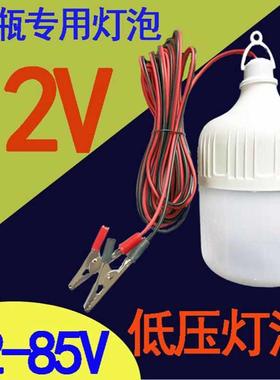 led低压灯泡12V24V36V48V60伏电瓶地摊夜市超亮电动车直流太阳能
