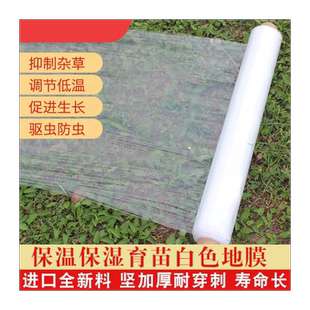 溥膜农用棚膜地膜加厚种植农用地薄膜土壤种菜膜塑料膜薄膜纸菜园