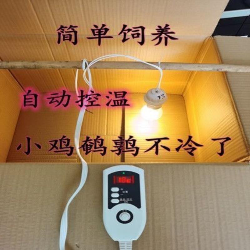 小鸡保温灯自动控温鹌鹑保温箱小鸟宠物育雏保温自动加热育雏设备