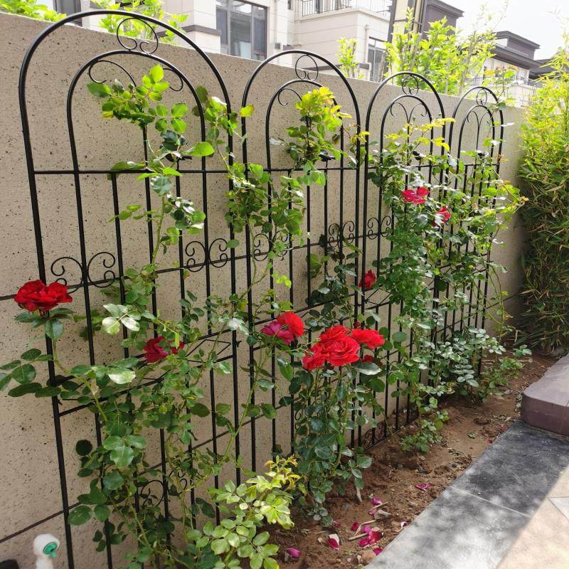 ��ɫ+��ͨ���50*��120 �������¼����ټ���Ǿޱֲ�����������ܻ���ͥԺ��԰����դ��֧��