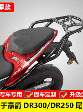 适用于豪爵DR300后货架DR250改装加强尾箱架载物架扶手后衣架配件