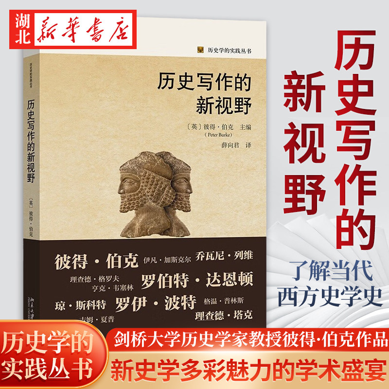 历史学的实践丛书 历史写作的新视野 剑桥大学历史学家教授彼得·伯克作品 一场呈现新史学多彩魅力的学术盛宴 了解当代西方史学史怎么看?