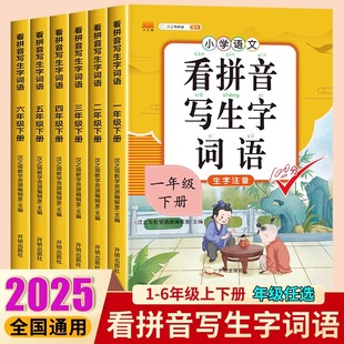 看拼音写生字词语 2025适用 一二三四五六年级小学通用 人教版 拼音拼读专项强化训练 小学语文练习册每日一练同步训练 单本任选
