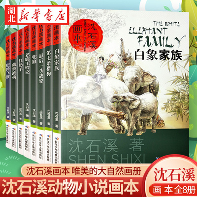 沈石溪画本动物小说全套8册