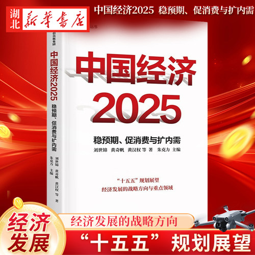 中国经济2025 稳预期 促消费与扩内需 刘世锦 黄奇帆 黄汉权 等著 两会 十五五规划 2025中国经济发展趋势 新质生产力 低空经济