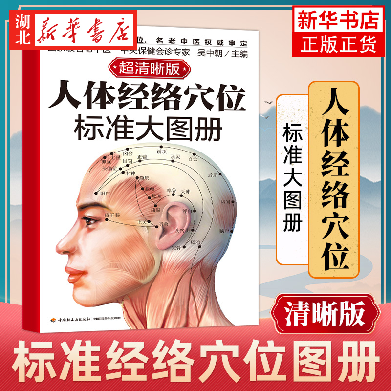 人体经络穴位标准大图册