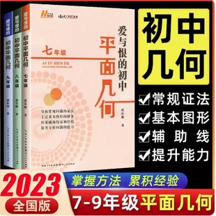 爱与恨的初中平面几何九年级