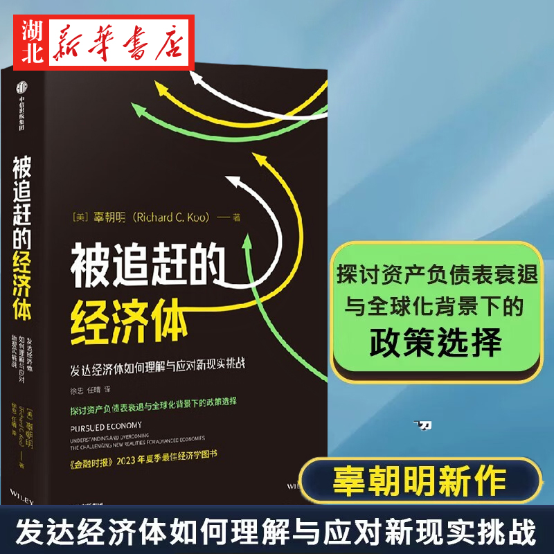 被追赶的经济体 辜朝明新作 探讨资产负债表衰退与全球化背景下的政策选择 金融时报2023年夏季经济学图书 市场经济学书籍 正版 书籍/杂志/报纸 经济理论 原图主图