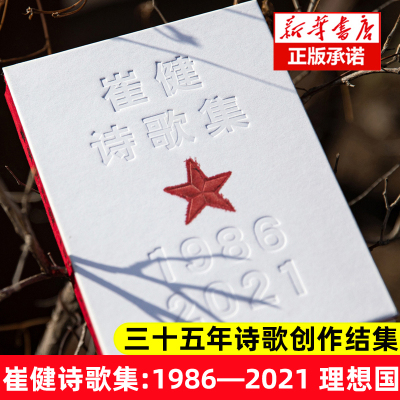 新书带着体温的摇滚诗歌理想国