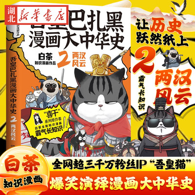 吾皇巴扎黑漫画大中华史2