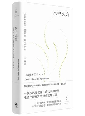 水中火焰 阿瓜卢萨在文景 际都柏林文学奖得主遗忘通论作者若泽爱德华多阿瓜卢萨外国文学世纪文景打破对非洲南美腹地刻板印象