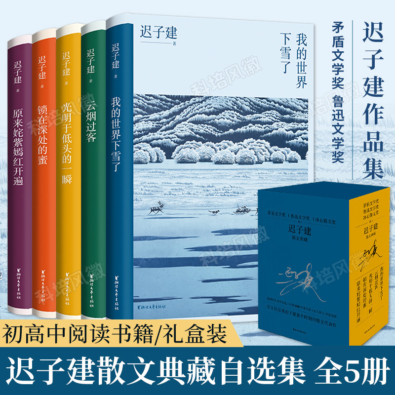 【套装5册】礼盒装迟子建散文典藏集 我的世界下雪了原来姹紫嫣红开遍茅盾文学奖得主迟子建作品集小说集自选集冰心散文初高中阅读属于什么档次？