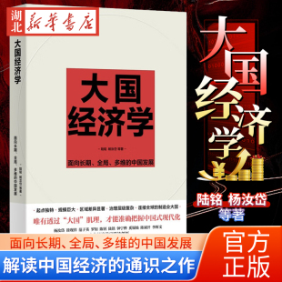 读懂转型与发展中 面向长期全局多维 解读中国经济 大国经济学 中国 正版 陆铭 社 中国发展 杨汝岱等著 上海人民出版 通识之作