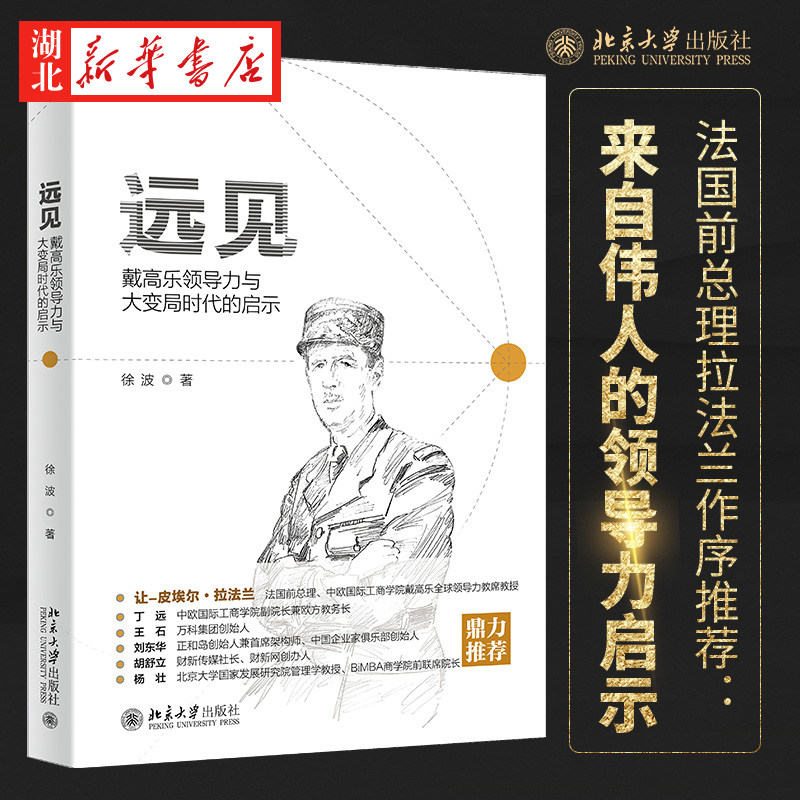 远见:戴高乐领导力与大变局时代的启示 徐波 著 深刻分析戴高乐领导力