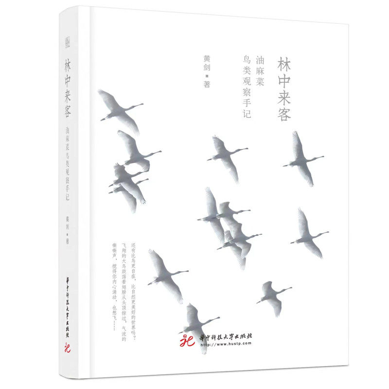 林中来客 油麻菜鸟类观察手记 黄剑 本书收录了油麻菜近年未公开发表