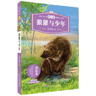动物小说大王沈石溪精品集 狼獾与少年湖北新华书店 注音版