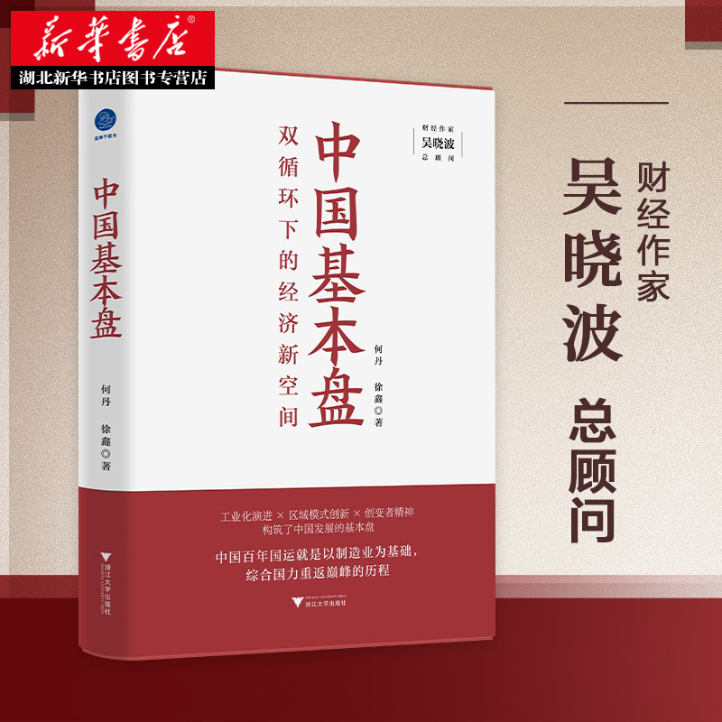 中国基本盘 双循环下的经济新空间 何丹 徐鑫 著 工业化演进区域模式创新创变者精神构筑中国经济发展 经济书籍 湖北新华正版包邮