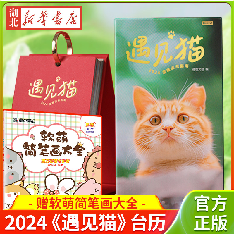 迷你日历遇见猫赠软萌简笔画大全图片