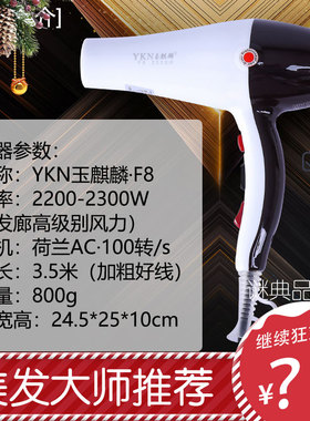 玉麒麟F8吹风机2300W大功率理发店发廊家用专业冷热电吹筒负离子